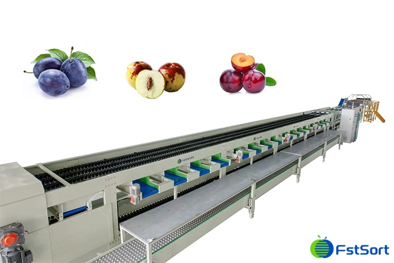 images/1698652563273small fruit sorting machine.jpg